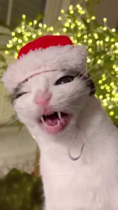 Планы на Новый год