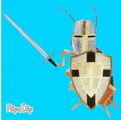 A cool røåçh gif I made ẞrõthërs.