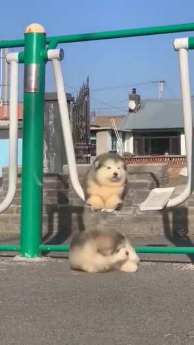 Just look at this if you had a bad day!