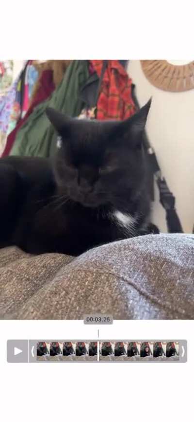 A todo Michi Osbourne🤟