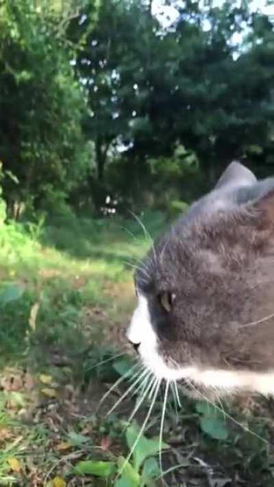 Insults on another level 🤬😅