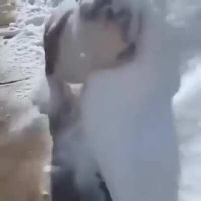 This is a Bulldozer obviously.