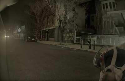 Woke up to this in the morning