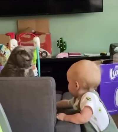 I barely even touched him