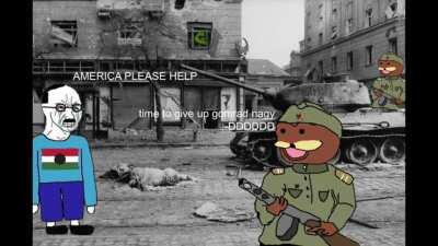 (literal) tankie post