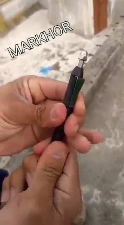 It’s just a pen