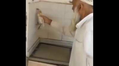 Using a bird to get rid of pests