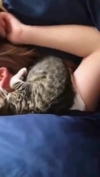 Is it normal for my cat to sleep like this?