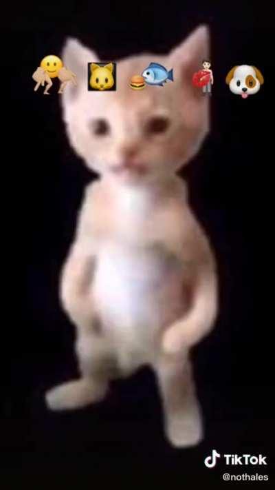 i saw the original trend (non-cursed) so heres the cursed version