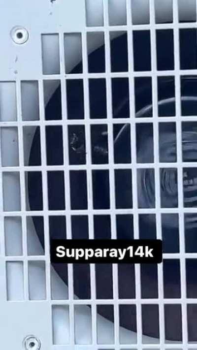 You could do it buddy