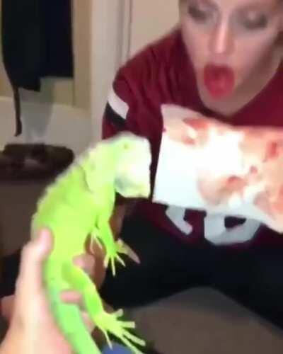 Drunk girl messing with iguana