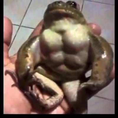Cursed_Frog