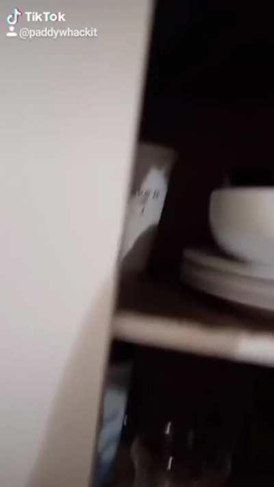 Don't take WAP literally