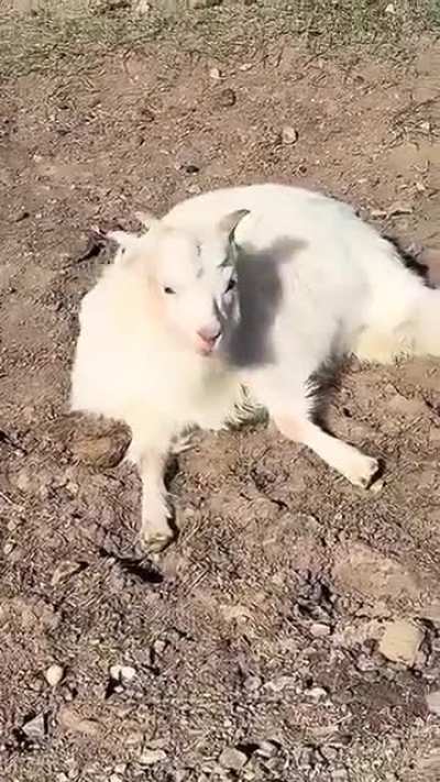 Rita?…Rita….Rita?!