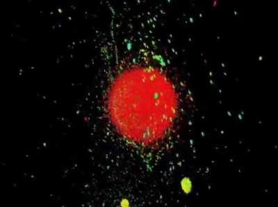 Mathematical Simulation of Planets Colliding