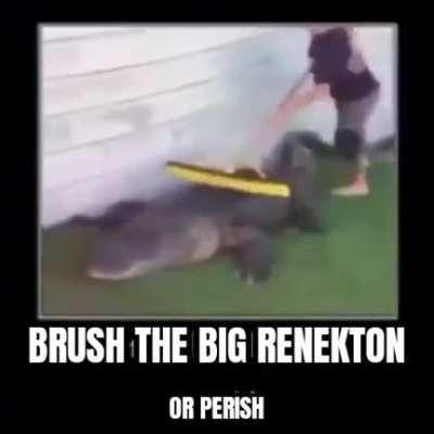 Good soldiers follow orders