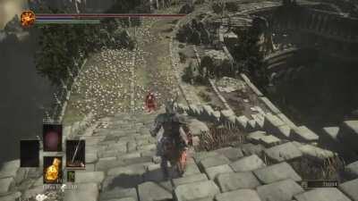 I've always wished for a chance to do this and it went even better than I'd hoped for