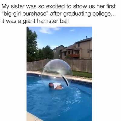 A Hamster Ball...