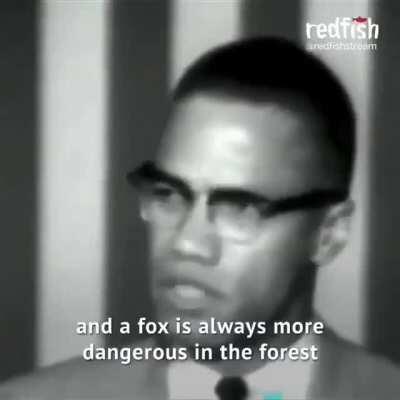 Malcom X's views on white liberals