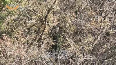 3rd Assault Brigade using drone drops - Kharkiv region