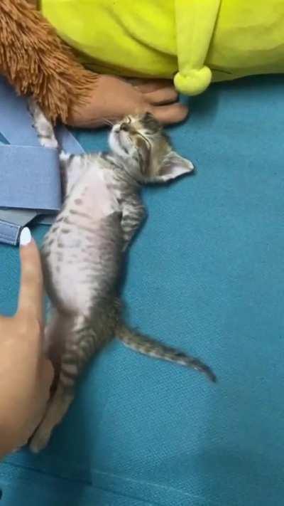 It's scary to imagine what he's dreaming about.