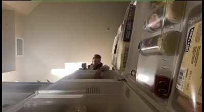 Chilling on the fridge