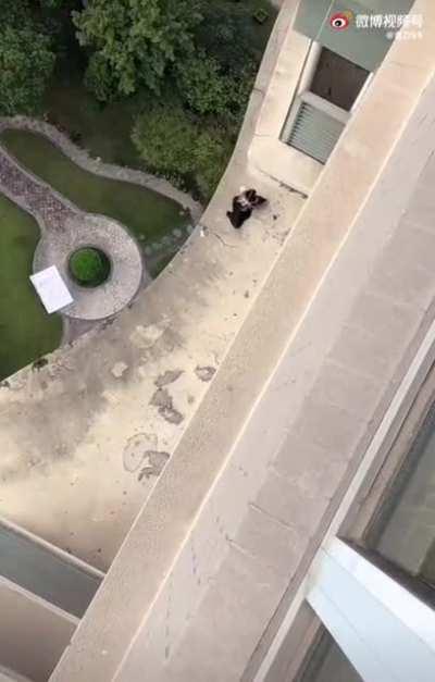 A Crab grabbing a shirt that fell off from the balcony