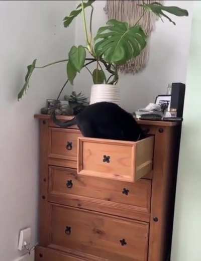 General cleaning in the morning