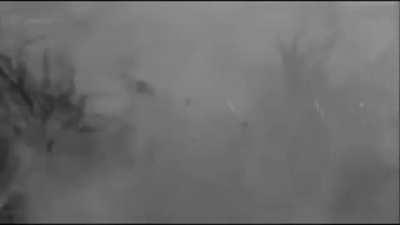 Its gangsta bangladesh now