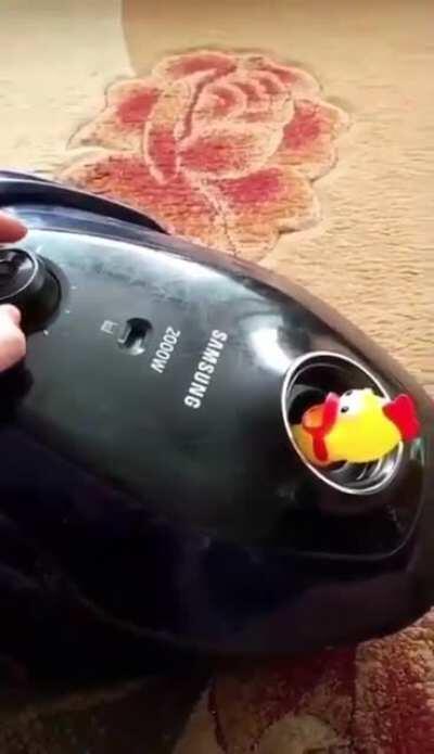 Eu vendo os grupos da mordoq sendo excluido um a um pelo zuck