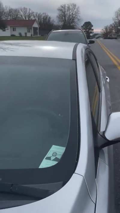 A group of yns stole her car so she chased them down to get it back