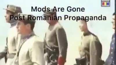 This subreddit is dead