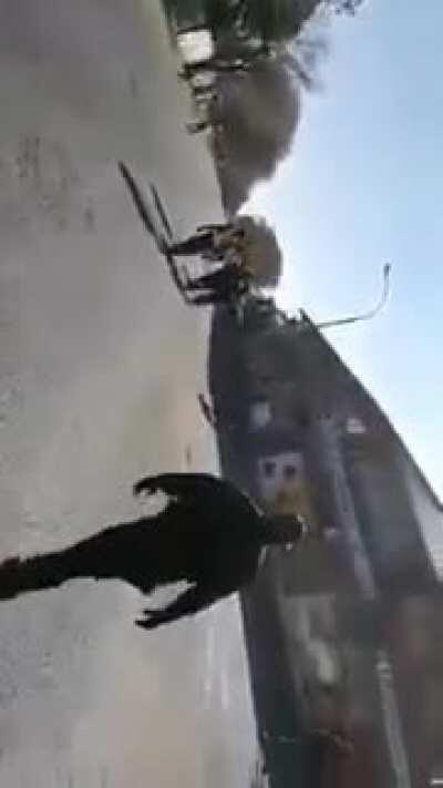 If you need to force people to follow these laws, perhaps the laws are kak