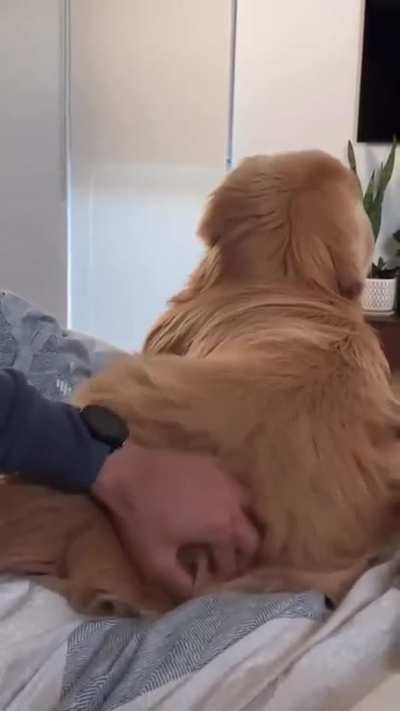 You can activate it by liking it 🤣