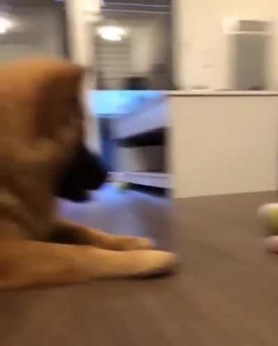 This is mine!! Not yours!