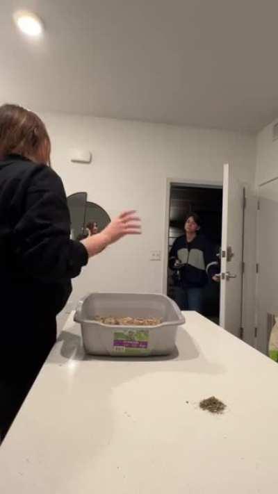 Eating Cat Litter Prank