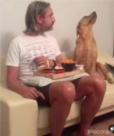 LOyAL SLaVE witH mAssive EgO stARVes tO dEATH