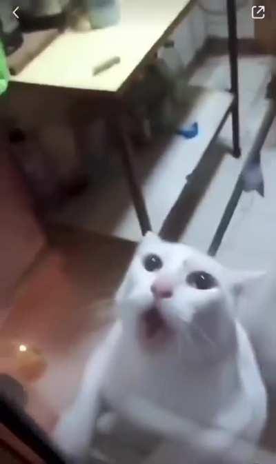 Ð¹ÐµÐ¿Ð°ÑÑ ÑÐ¸Ð»ÑÐ¼ ÑÐ¶Ð°ÑÐ¾Ð²!