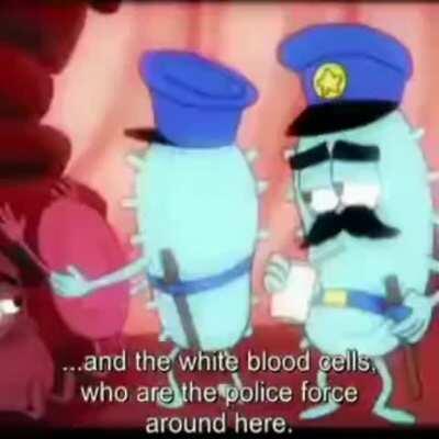 Learning about what goes on inside your body...