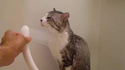 Невозмукот