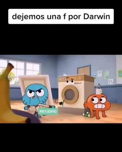 Nooooooo Darwin amigo
