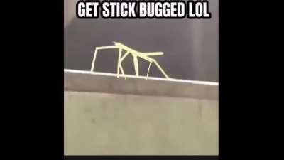 LOL gomey got stickbugged