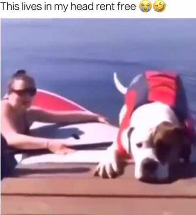 Lol oh this make me laugh so much