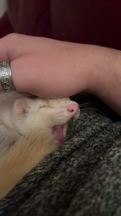 Fluffy love ball and tv