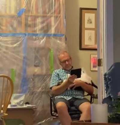 This cat does trust falls.