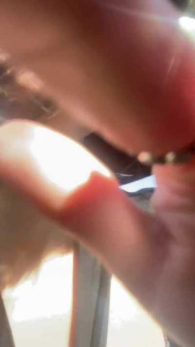 My man dared me to show you what we do on road trips hehe [f]