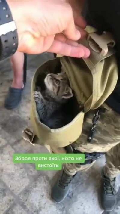 UA personal spotted with the most dangerous weapon in the war, Kitten.