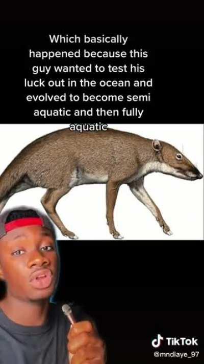 They’ve had spies on land this whole time.