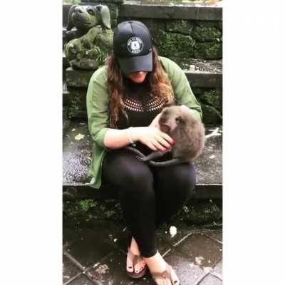 Lady chokes a monkey to pose for a photo and gets instantly attacked by its mother