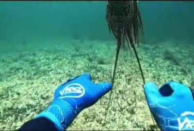 Remake of u/Just_Jack64's post